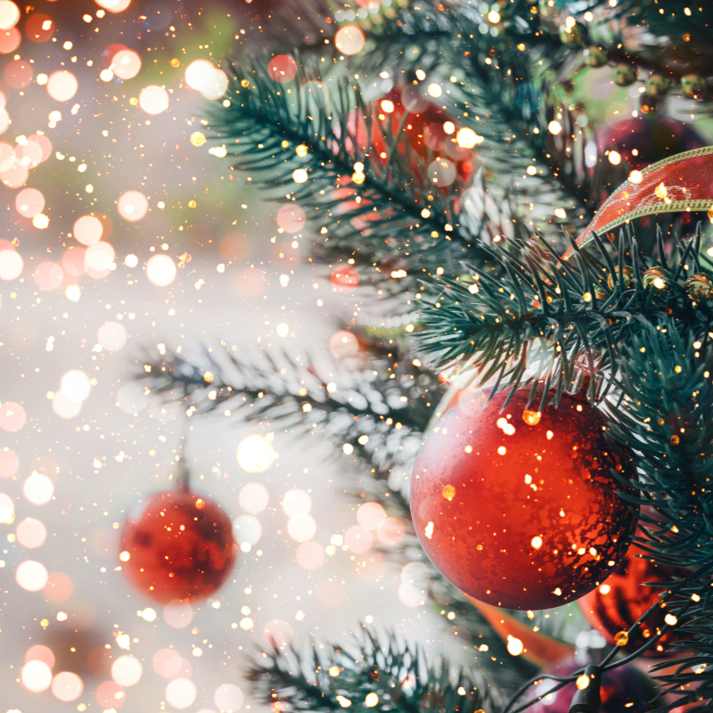 Décorations de Noël et guirlandes en hauteur : la bonne échelle Image